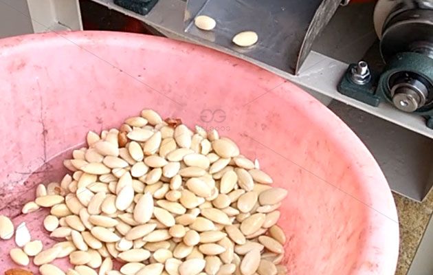 peeled almond.jpg